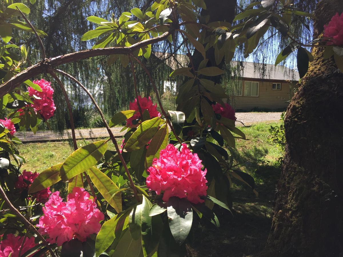 Pousada Cabanas Parque Altue